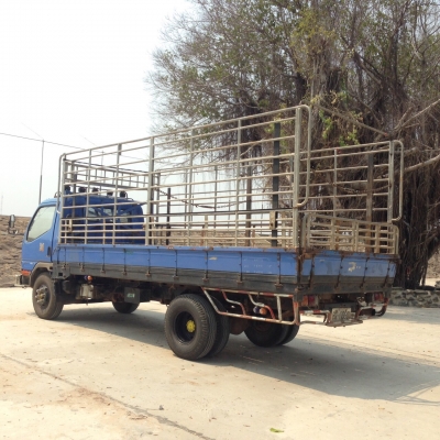 122แรงปี41