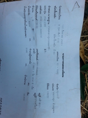 ขายรถ6ล้อ ดี้มร็อกกี้195แรง ยาง900 เครื่องดี แคชซีสวย พาวเวอร์ เบรกจิ๊ฟฟี่ ภายในสวย เอกสารพร้อมโอน สนใจโทร 090-8588220คุณนะ 093-3258446คุณบิว หรือเข้าดูสินค้าอื่นๆได้ที่ www.narong2truck.com หรือ www.truck.in.th/498 หรือเพจFacebook ณรงค์ ซื้อขายรถมือสอง (