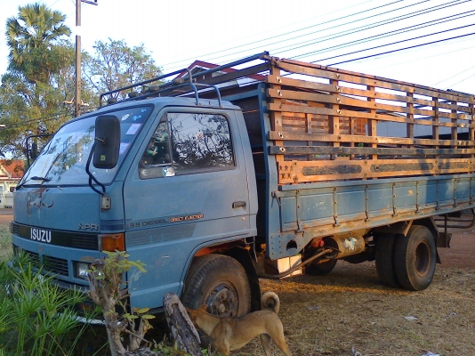 ISUZU NPR 115 ห้างแท้ เครื่อง 4BD1 เกียร์ยาว ยกหัวได้ ปี 32 ภายในสวยครับ