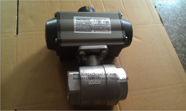 2 pc carbon stell ball valve(WCB, 304 and 316)