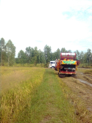 ขายรถเกี่ยวข้าว เกษตรพัฒนา ไอ้หนุ่มไวไฟ รถสวยๆสภาพพร้อมใช้งาน