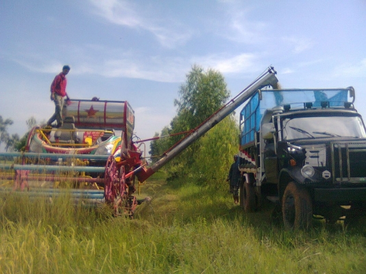 ขายรถเกี่ยวข้าว เกษตรพัฒนา ไอ้หนุ่มไวไฟ รถสวยๆสภาพพร้อมใช้งาน