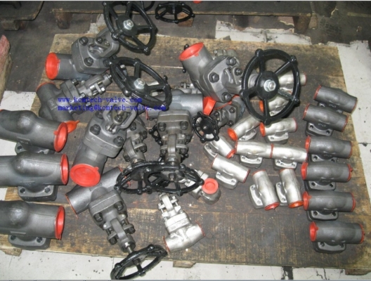 Forged Swing Check Valve Class 300