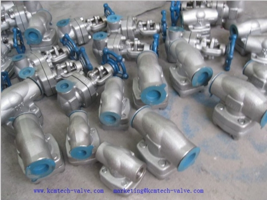 Forged Steel Swing Check Forged Steel Swing Check