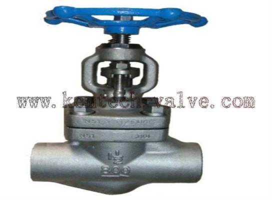 Forged Steel Globe Valve Class 900 SW