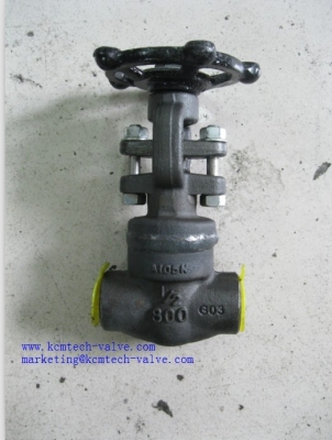 Forged Gate Valve Class 900-1500 Flanged/BW Forged Gate Valve Class 900-1500 Flanged/BW