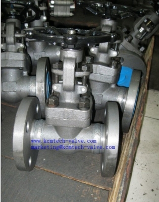 Forged Gate Valve Class 900-1500 Flanged/BW