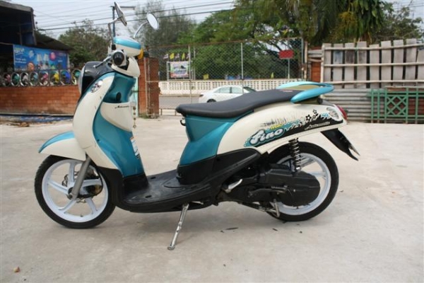 -ขายฟีโน่สวยๆ