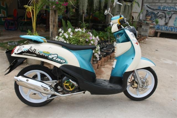 -ขายฟีโน่สวยๆ