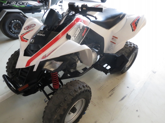 !!ลดล้างสต็อกค่ะรถ ATV DS250 สภาพสวย พร้อมใช้!!