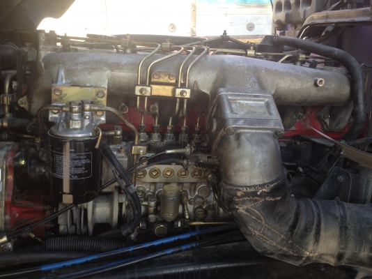 ขาย  2k  260  สมอไม่ดั้มเเม่ลูก