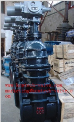 ประตูน้ำเหล็กหล่อ