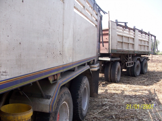 ขายISUZU DECA 270 ยูโร1 แม่+ลูก ขายISUZU DECA 270 ยูโร1 แม่+ลูก