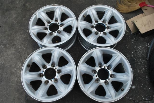 ขายล้อเล็บเหยี่ยว