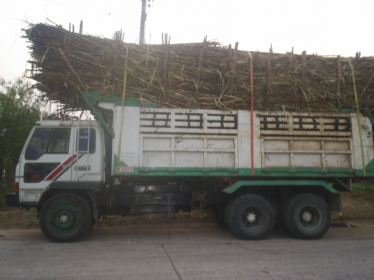 ขายของรักของหวงเพราะมีความจำเป็น