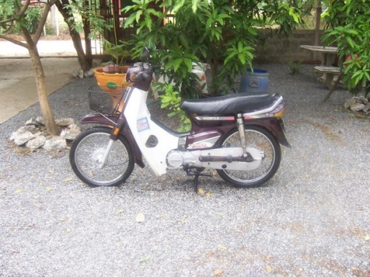 ดรีมคุรุทะเบียนครบ+โอน สวยๆเดิมๆ คันที่1