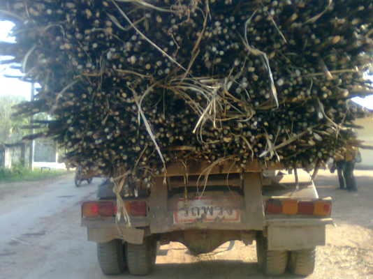 ขายFXZ13NYดั้ม2เพลาแม่ลูกกะบะปีเนียม