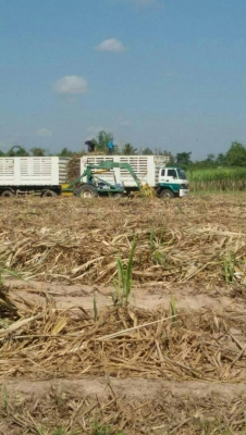 ขายครับ  22 ล้อ ดั้มเกษตร  3เพลายัด   เครื่องแดวู 320 แรง