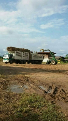 ขายครับ  22 ล้อ ดั้มเกษตร  3เพลายัด   เครื่องแดวู 320 แรง