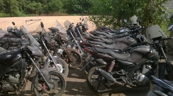 ไทเกอร์ ครับ  ราคาไม่แพง