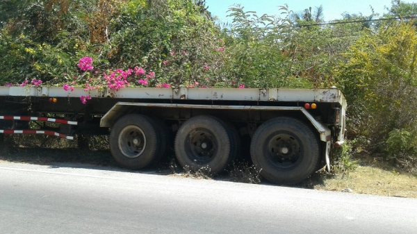 ขายหาง พื้นเรียบ สามมิต 3 เพลา. แท้  ปี 53.    สนใจติดต่อ  081 - 6079515