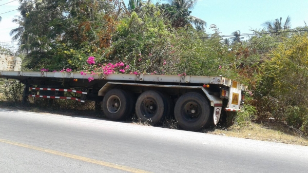 ขายหาง พื้นเรียบ สามมิต 3 เพลา. แท้  ปี 53.    สนใจติดต่อ  081 - 6079515