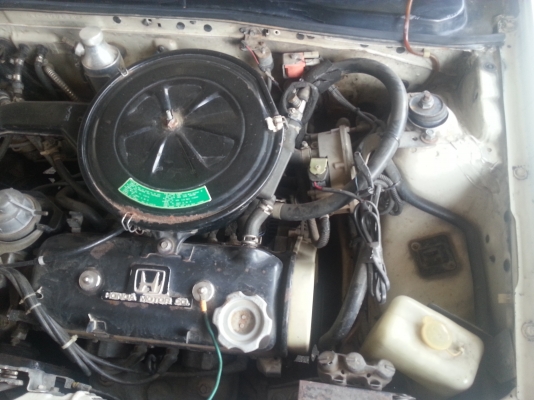 ถูกแบบนี้ไม่มีอีกแล้ว เอาไปเลย 33,333 - โทร 0974594419 ถูกแบบนี้ไม่มีอีกแล้ว เอาไปเลย 33,333 - โทร 0974594419