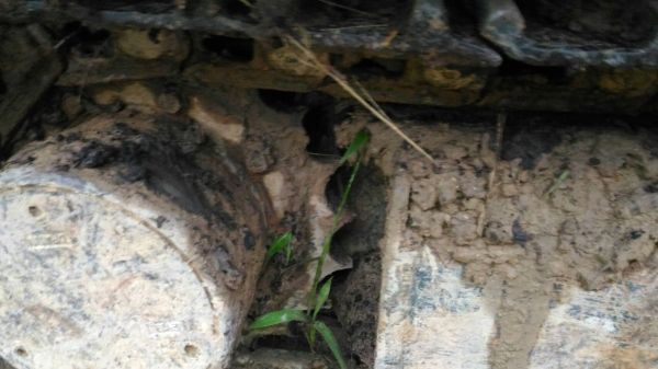 ขายรถแบคโฮ IHI 30 ราคา 180000