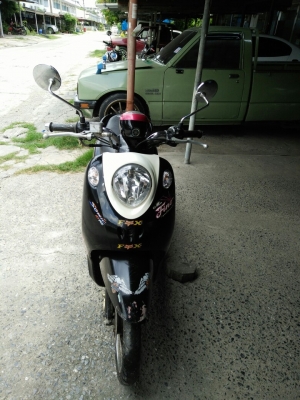 ขายคับฟีโน่เดิมๆๆ