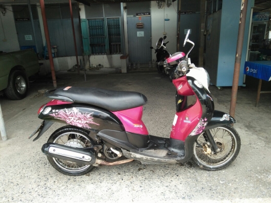 ขายคับฟีโน่เดิมๆๆ