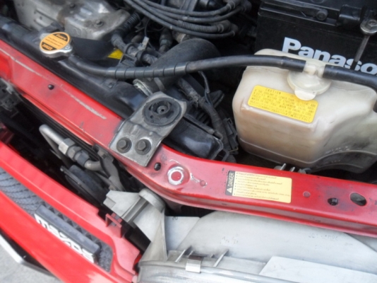 เจ้าม้าสด้า การ์ตูน ตัวน้อย เจ้าม้าสด้า การ์ตูน ตัวน้อย