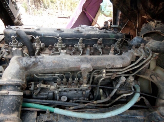 FRRเครื่อง175  ฟี่เวอร์ยาง825