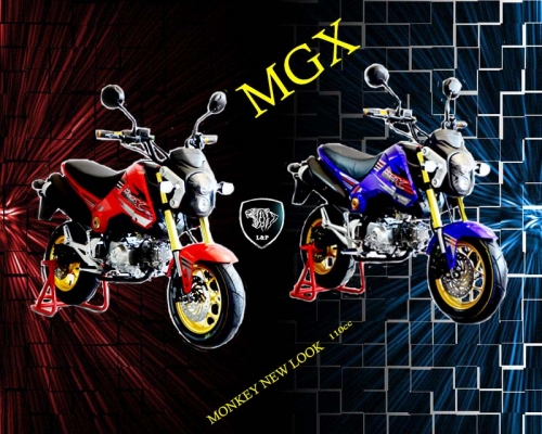 #จัดโปโมชั่นใหม่ลดราคาสุดๆ.รถต้นแบบ MGX มังกี้ กอลิล่า แต่ง มี100 แบบให้เลือก ราคาเริ่มต้น.......