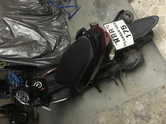 nouvo elegance 135 ทะเบียนแท้