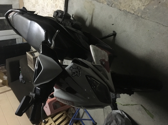 nouvo elegance 135 ทะเบียนแท้