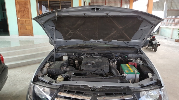 ขายไทรตั้น ตอนเดียวปี57 พร้อมลุยงานครับผม ขายไทรตั้น ตอนเดียวปี57 พร้อมลุยงานครับผม