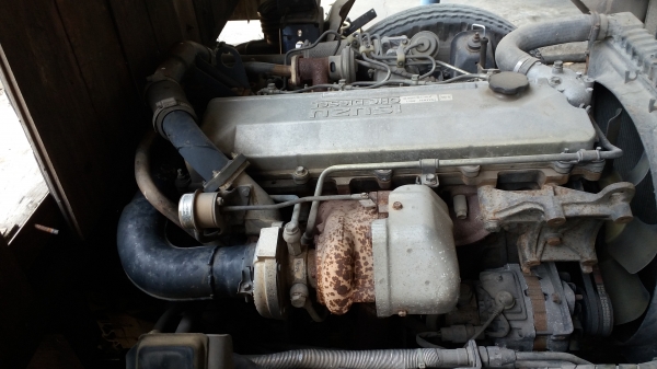 หางก้างปลาขายตามสภาพครับ หางก้างปลาขายตามสภาพครับ