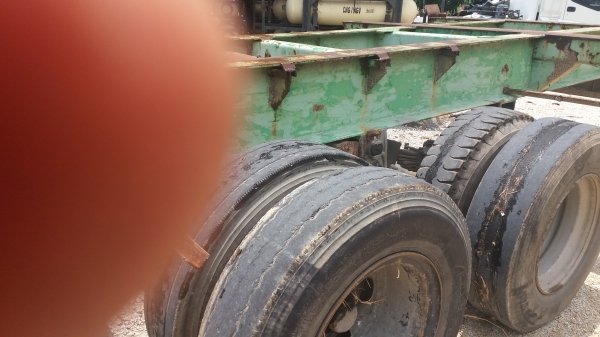 หางก้างปลาขายตามสภาพครับ หางก้างปลาขายตามสภาพครับ