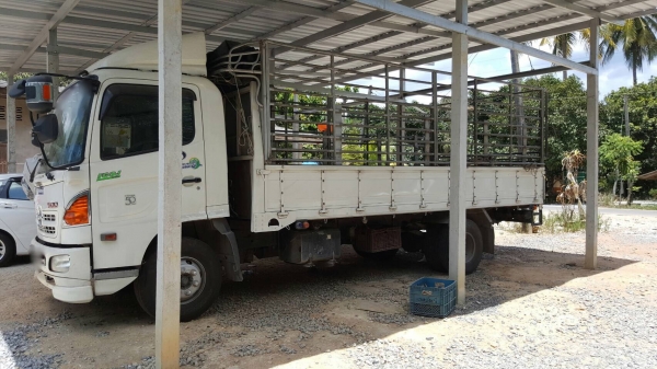 รถฮีโน่ 6 ล้อรั้ว ( ไม่ดั้ม ) FC9J  150 แรงม้า ปี 56.  ( รถวิ่ง 2xx,xxx กม. )     สนใจติดต่อ  081 - 6079515