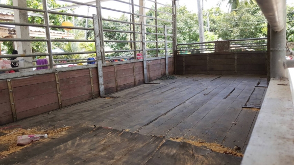 รถฮีโน่ 6 ล้อรั้ว ( ไม่ดั้ม ) FC9J  150 แรงม้า ปี 56.  ( รถวิ่ง 2xx,xxx กม. )     สนใจติดต่อ  081 - 6079515