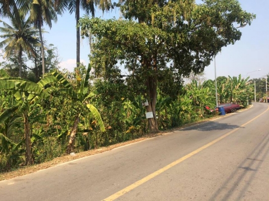 ขายที่ดิน 3ไร่ 88 ตรว ติดริมแม่นํ้า ขายที่ดิน 3ไร่ 88 ตรว ติดริมแม่นํ้า