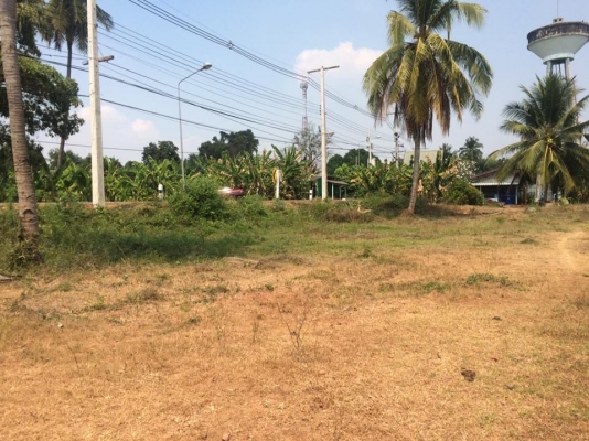 ขายที่ดิน 3ไร่ 88 ตรว ติดริมแม่นํ้า ขายที่ดิน 3ไร่ 88 ตรว ติดริมแม่นํ้า