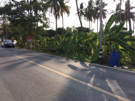 ขายที่ดิน 3ไร่ 88 ตรว ติดริมแม่นํ้า ขายที่ดิน 3ไร่ 88 ตรว ติดริมแม่นํ้า