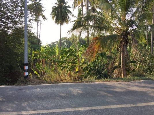 ขายที่ดิน 3ไร่ 88 ตรว ติดริมแม่นํ้า ขายที่ดิน 3ไร่ 88 ตรว ติดริมแม่นํ้า