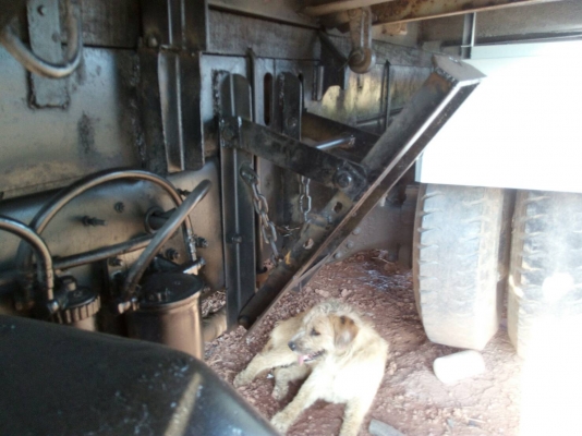 HINO SUMO FM227. 220แรง  เครื่องเกืยร์เดิม ดั๊มสามมิตร รถสวยราคา760,000บ. สนใจติดต่อ 0835601591 หรือ 0903494058