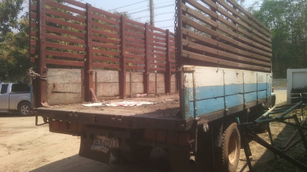 ISUZU  FTR 165แรง คัสชืท้ายเต็มยาว5.5ม. สภาพดืราคา420,000บ. สนใจติดต่อ 0835601591 หรือ 0903494058