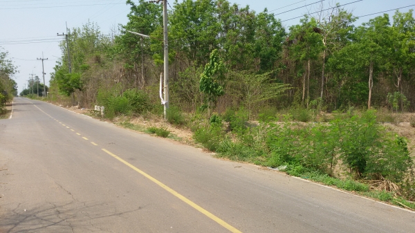 ขายที่ดิน ติดถนน ลาดยาง เอกสาร ภบท.5 จำนวน 1 ไร่ บ้านหนองปลวก  ต.แก่งเสี้ยน อ.เมือง กาญจนบุรี