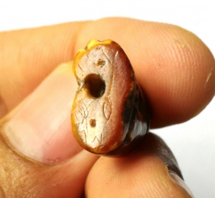 เขี้ยวเสือ ของเก่าของโบราณแท้ๆ ตกทอดกันมา เนื้อฉ่ำๆ จานยันต์เก่า มีคราบเก่า แตกลายสวยธรรมชาติ เด่นด้านมหาอำนาจบารมี พกติดตัวเถิดจะเกิดผลดี