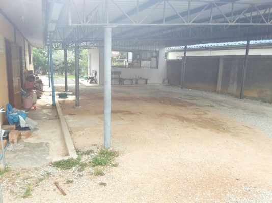 ขาย!! >>> ที่ดิน พร้อมบ้านและร้านกาแฟติด สวนเสือศรีราชา <<< ขาย!! >>> ที่ดิน พร้อมบ้านและร้านกาแฟติด สวนเสือศรีราชา <<<