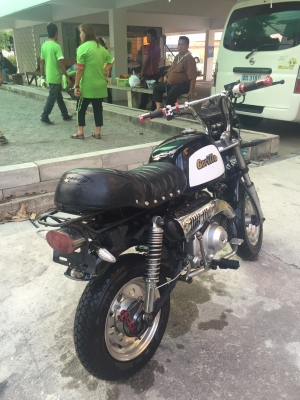 ขายกอลิล่า สีดำเบาะซ้อนสอง